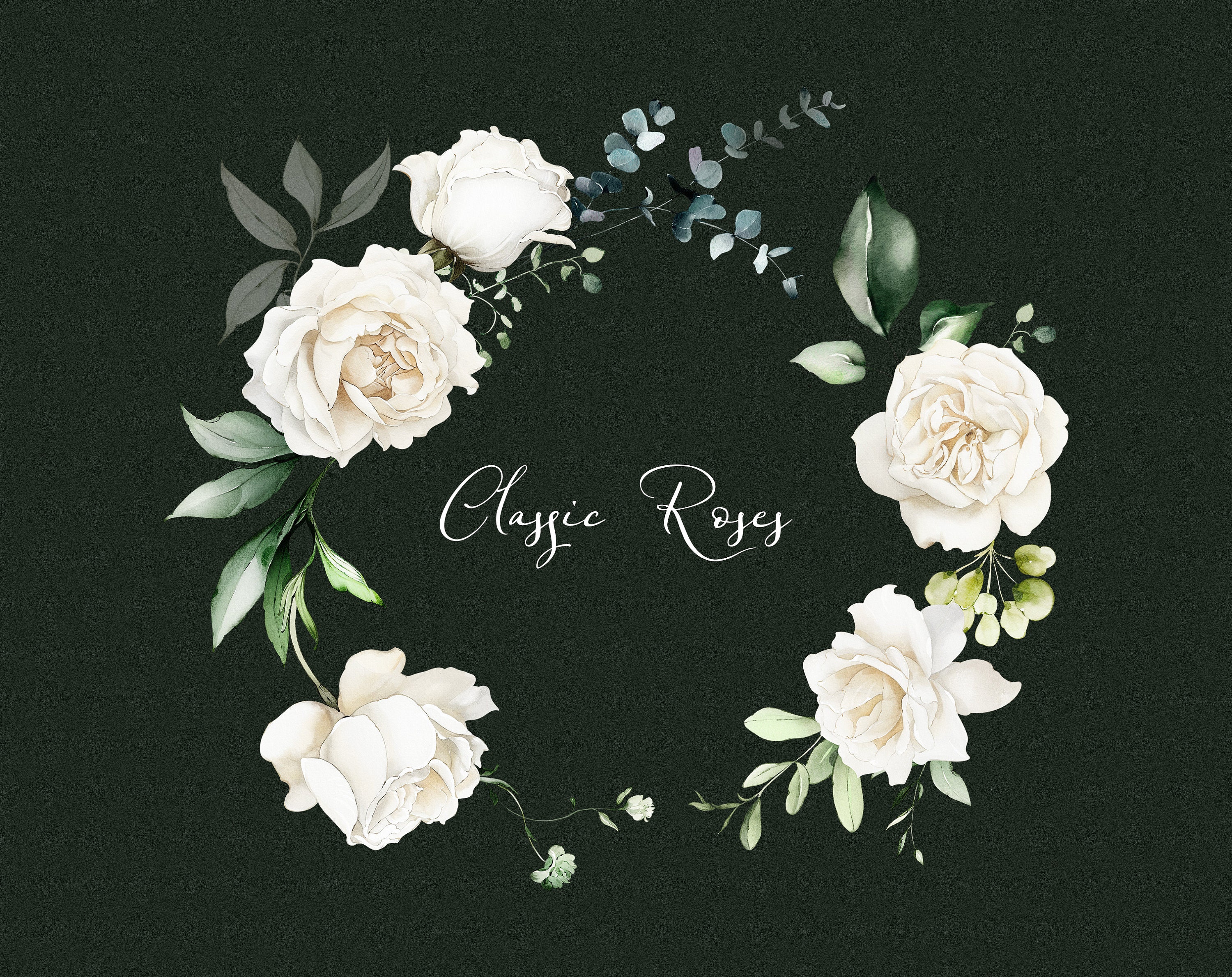 Watercolor Flower White Cream Roses Floral Garden Bouquets PNG Clipart ...