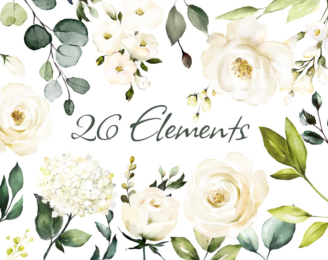 Watercolor Flower White Roses Floral Garden PNG Clipart, Wedding ...