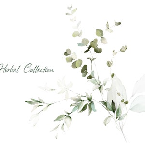 Watercolor Eucalyptus Greenery Bouquets PNG Clipart, Wedding Digital ...