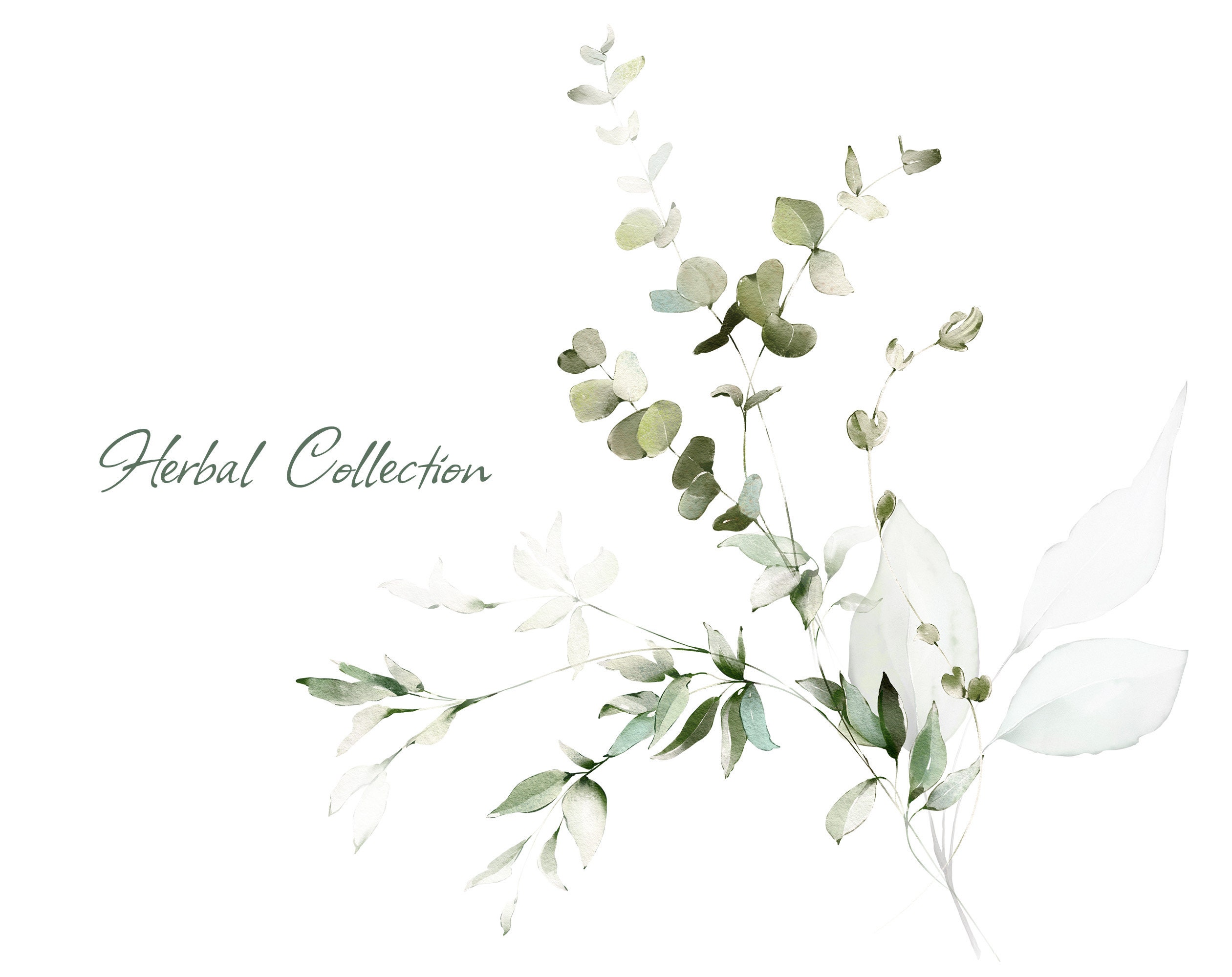 Watercolor Eucalyptus Greenery Bouquets PNG Clipart Wedding - Etsy