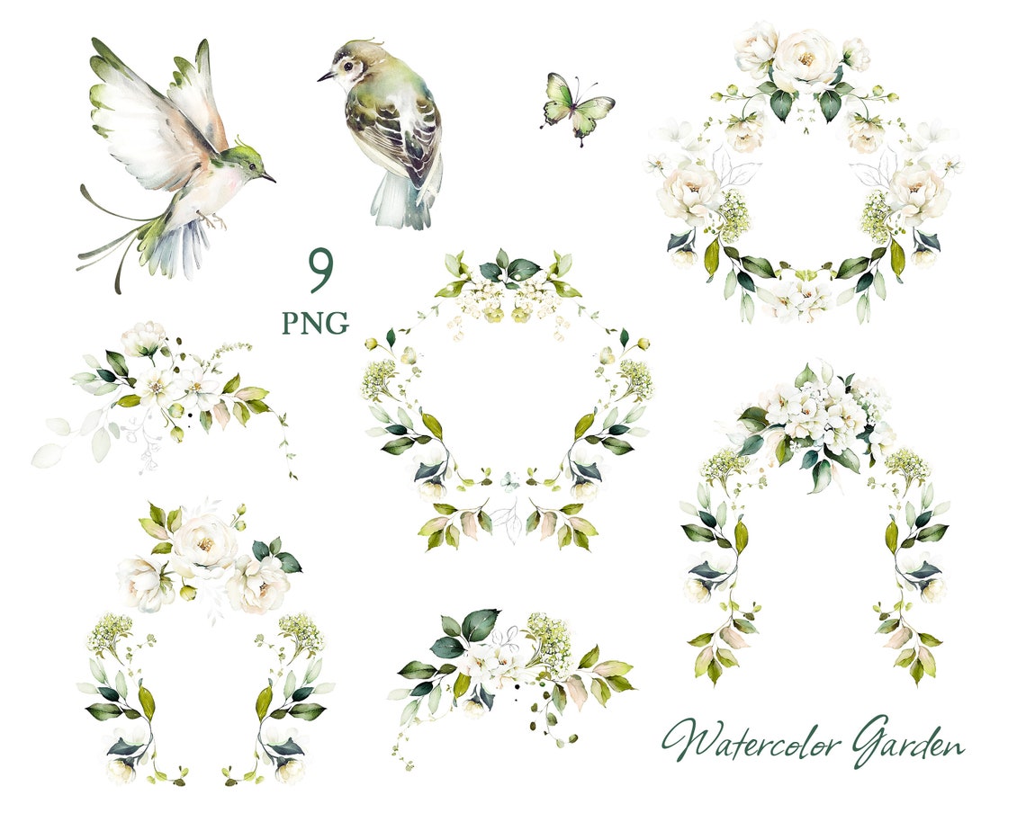 Watercolor Flower White Cream Roses Floral Garden Bouquets, Frames PNG ...