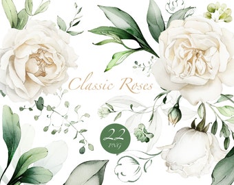 May include: A set of 22 watercolour illustrations of white roses and green foliage. The illustrations are perfect for creating wedding invitations, greeting cards, and other projects.