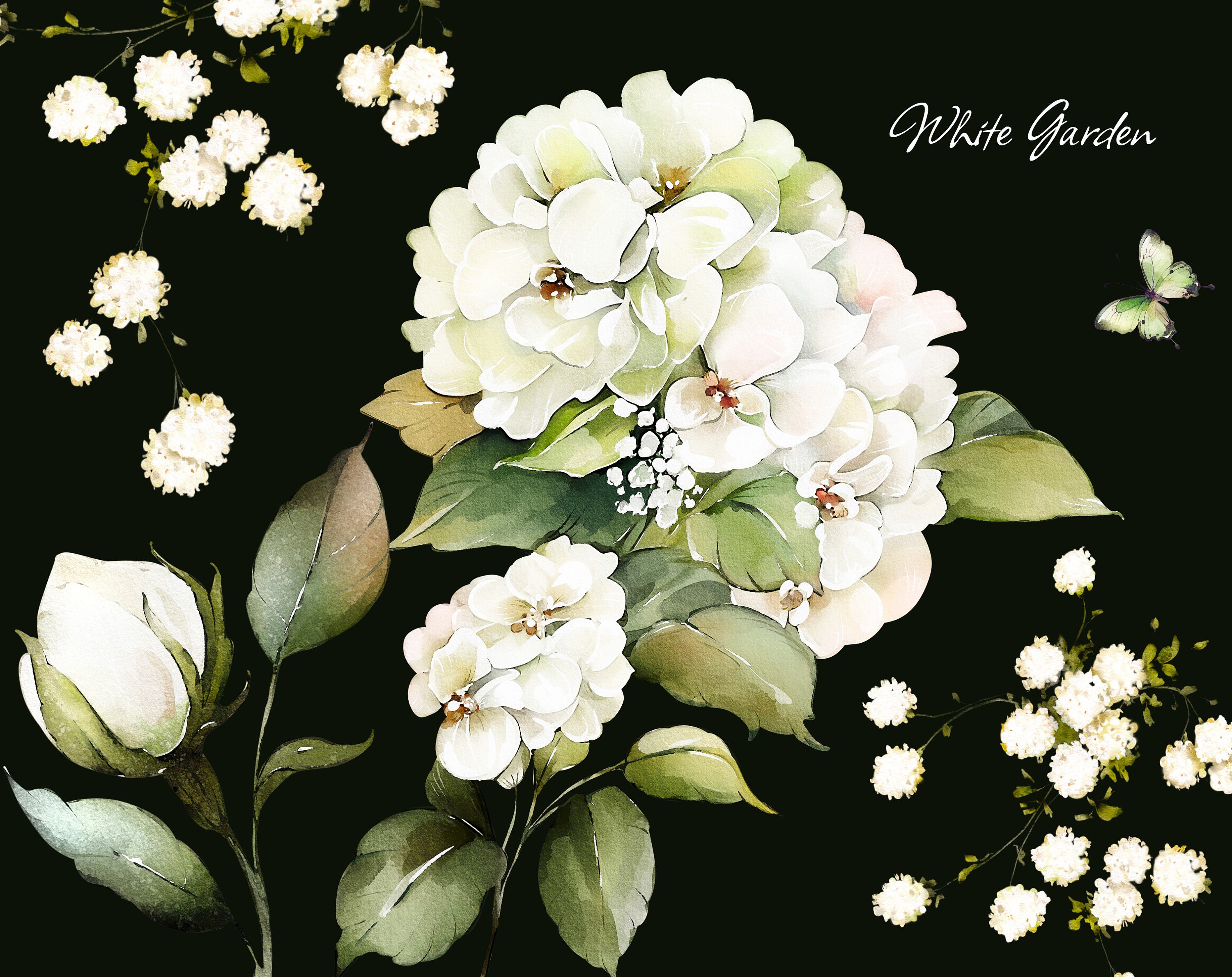 Watercolor Flower White Cream Roses Floral Garden Bouquets PNG - Etsy