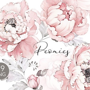 Aquarell Blumen rosa Pfingstrosen Blumen Garten Elemente PNG Clipart, Hochzeit digitale grüne Blätter, Kräuter, Grün, Blumen Lisima