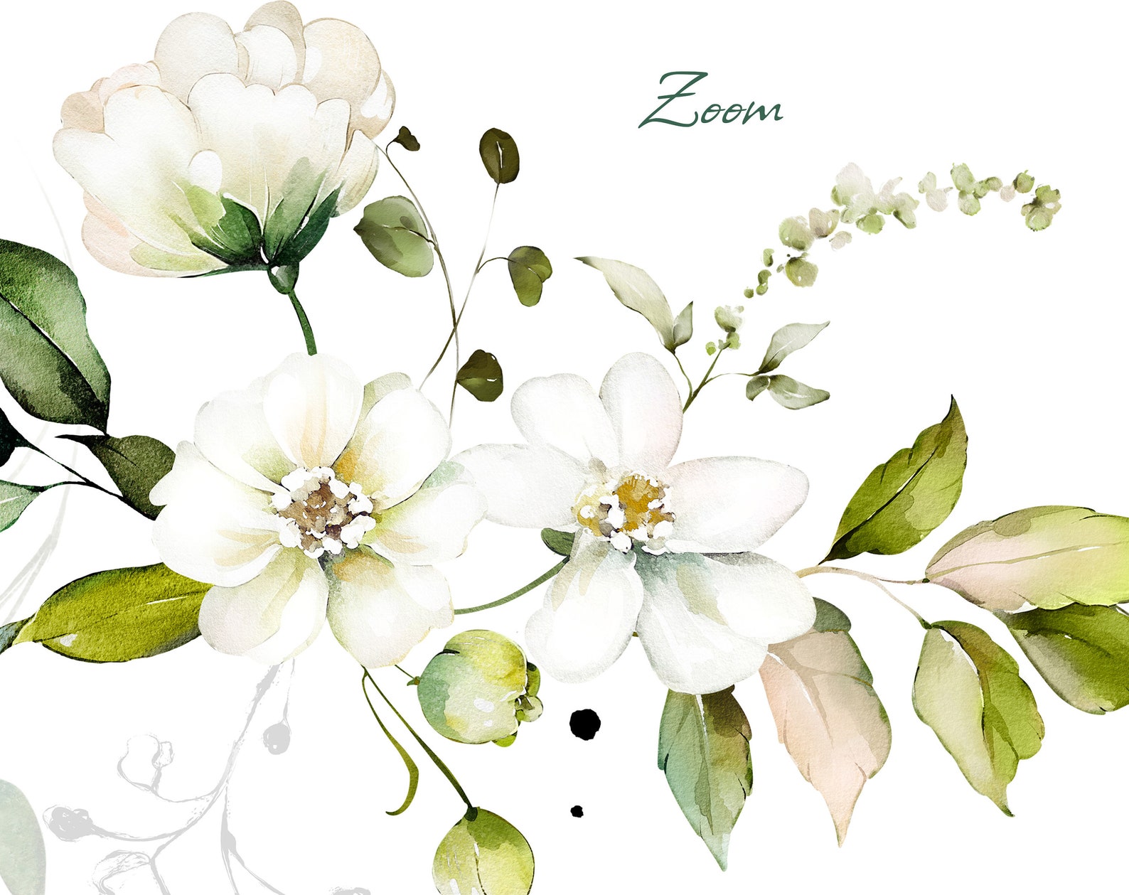 Watercolor Flower White Cream Roses Floral Garden Bouquets, Frames PNG ...