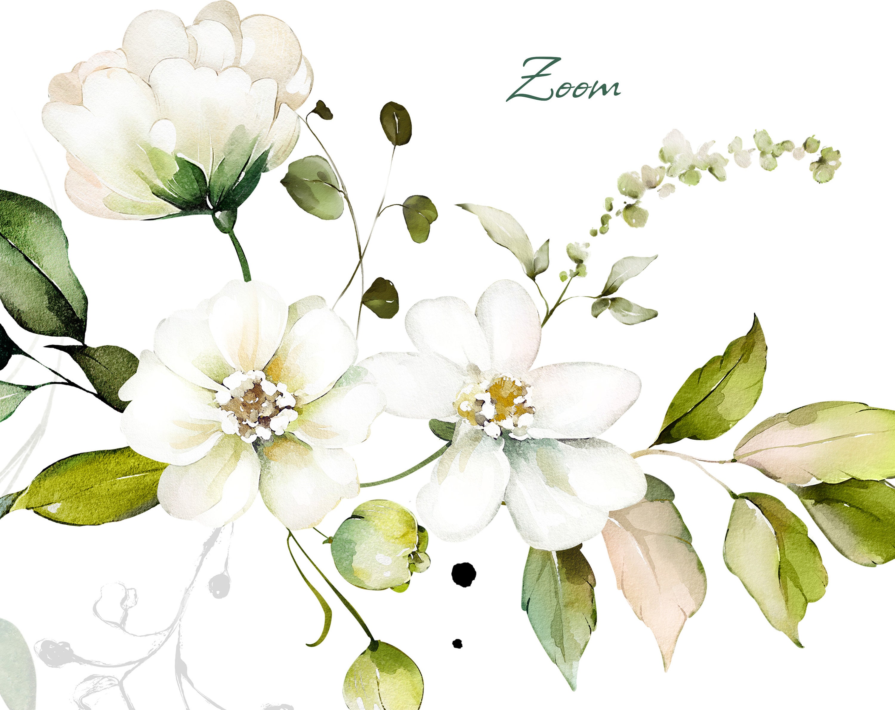 Watercolor Flower White Cream Roses Floral Garden Bouquets, Frames PNG ...