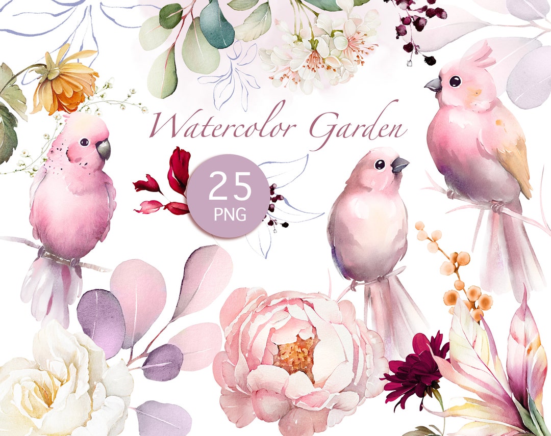 Watercolor Flower White Cream, Pink Roses Peonies Floral Garden ...