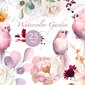 Aquarell Blumen weiß creme, rosa Rosen Pfingstrosen florale Gartenelemente PNG Clipart, Papageien, digitale grüne Blätter, Kräuter, Grün, Vögel