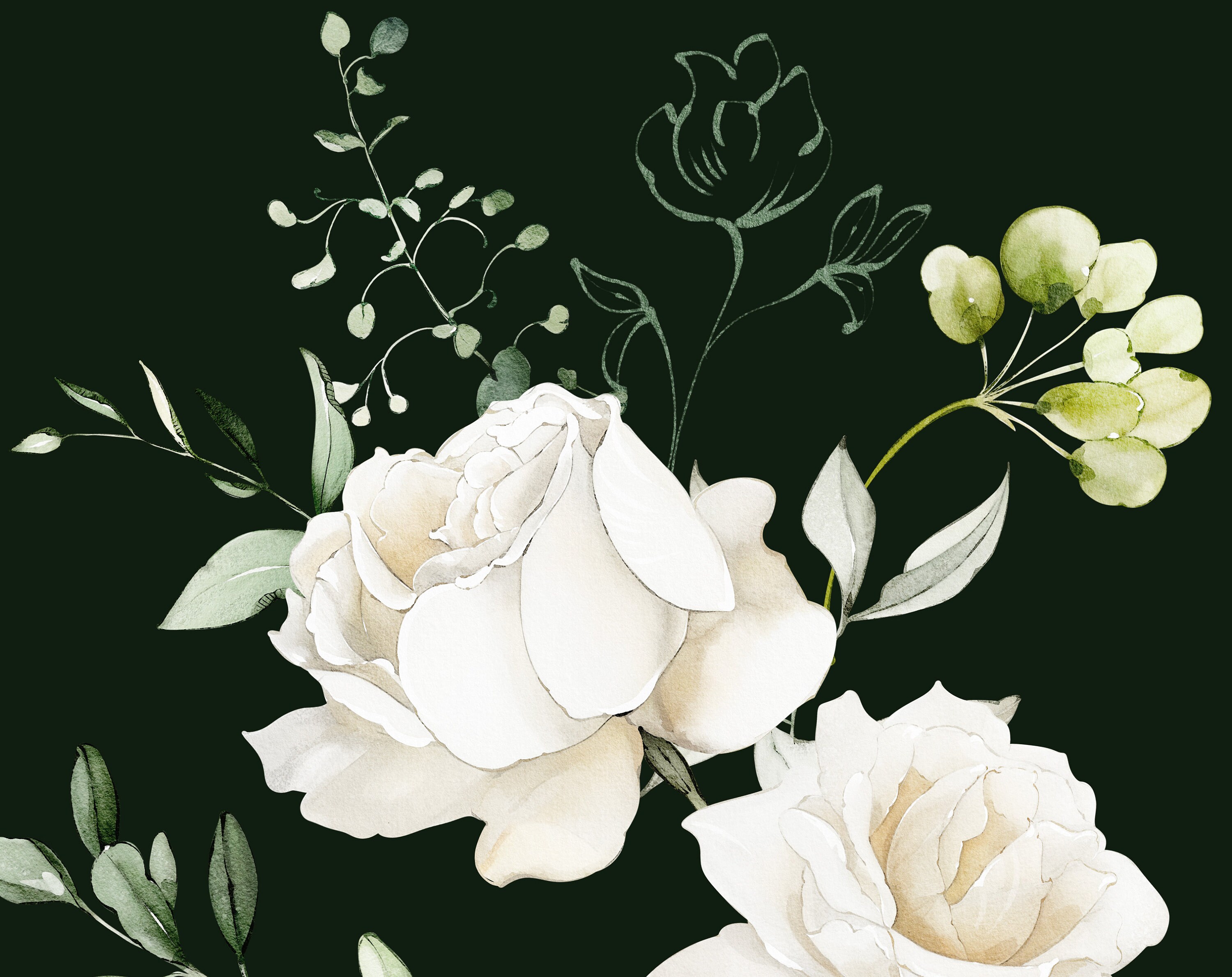 Watercolor Flower White Roses Floral Garden Elements PNG Clipart ...