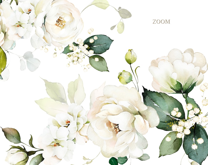 Watercolor Flower White Cream Roses Floral Garden Bouquets PNG Clipart ...