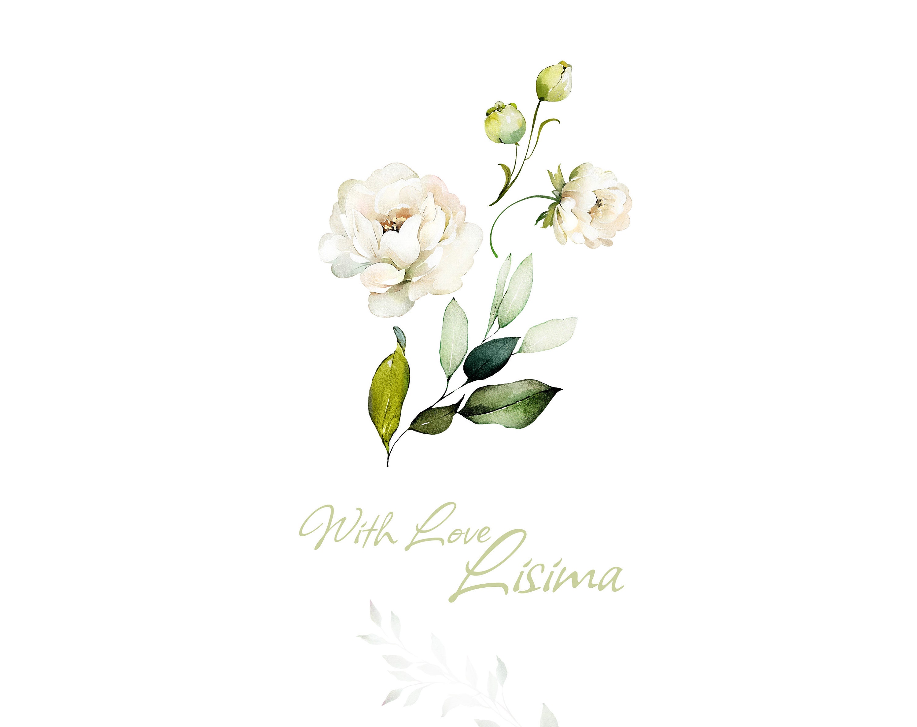 Watercolor Flower White Cream Roses Floral Garden Elements PNG Clipart ...