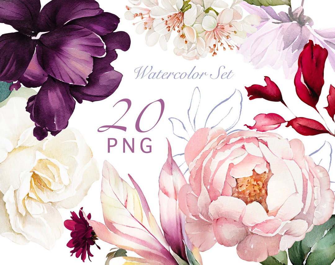 Watercolor Flower White Pink Cream Roses Peonies Floral Garden Elements ...