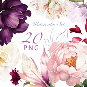 Aquarell Blumen weiß rosa creme Rosen Pfingstrosen florale Gartenelemente PNG Clipart, Hochzeit digitale grüne Blätter, Kräuter, Grün, Lisima