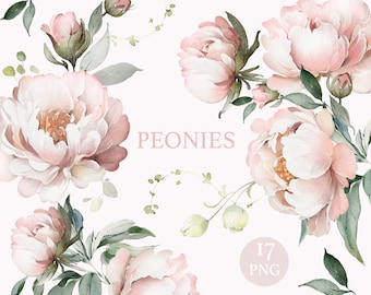 May include: Watercolor illustration of pink peonies with green leaves and stems. The illustration is on a white background and includes the text "PEONIES" and "17 PNG".