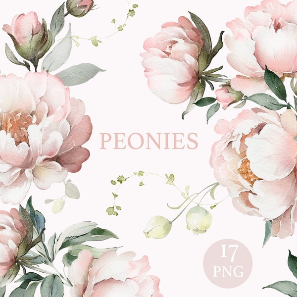 Watercolor flower pink peonies floral garden elements PNG Clipart, wedding digital green leaves, herbs, greenery, flowers Lisima