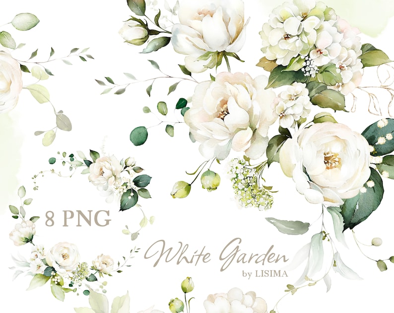 Watercolor Flower White Cream Roses Floral Garden Bouquets PNG Clipart ...