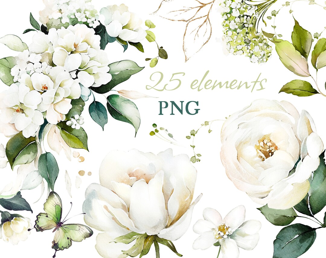 Watercolor Flower White Cream Roses Floral Garden Elements PNG Clipart ...