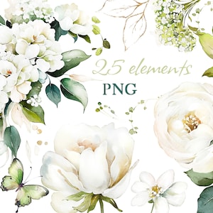 Aquarel bloem wit crème rozen bloementuin elementen PNG Clipart, bruiloft digitale groene bladeren, kruiden, groen, bloemen
