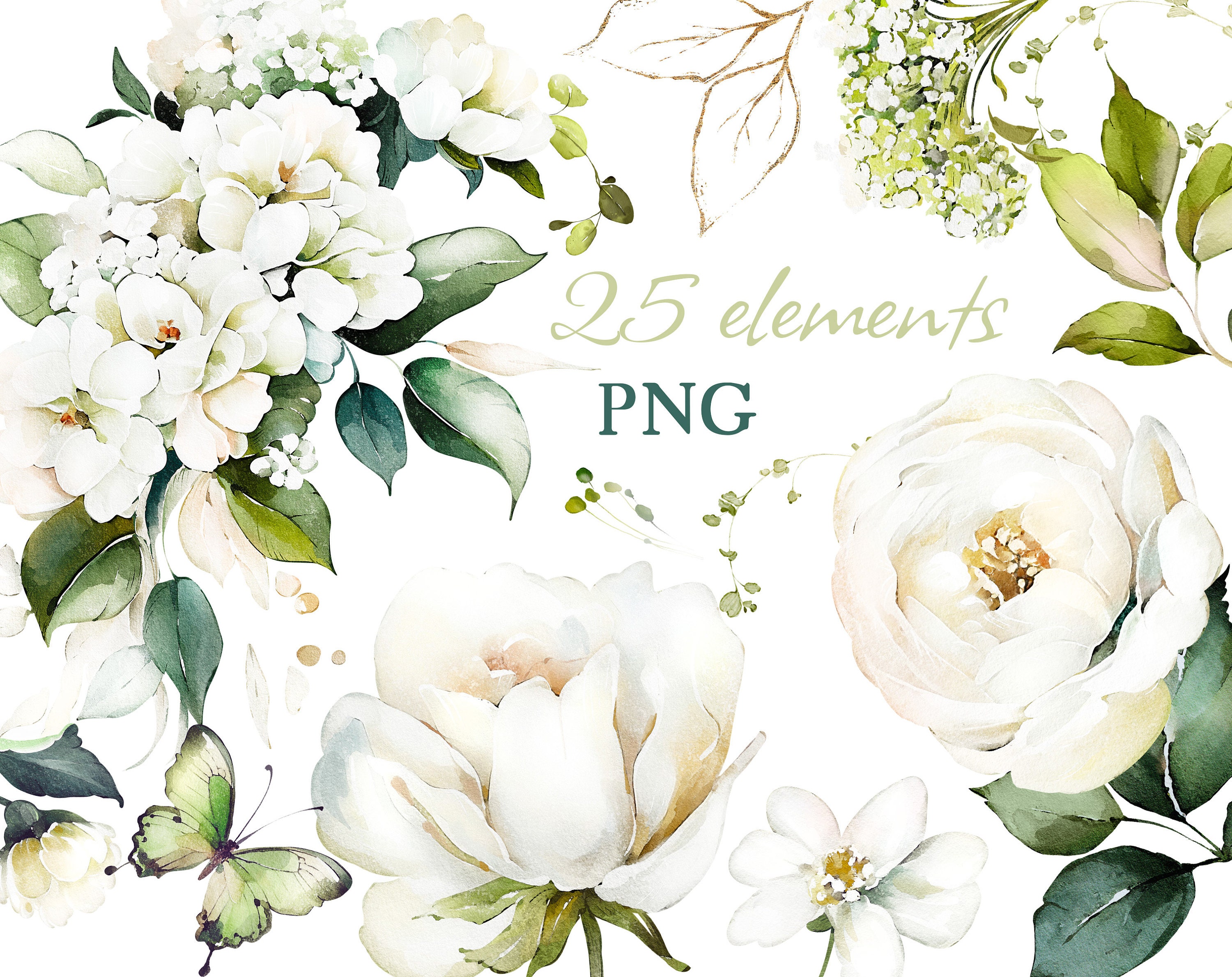 Watercolor Flower White Cream Roses Floral Garden Elements PNG Clipart ...