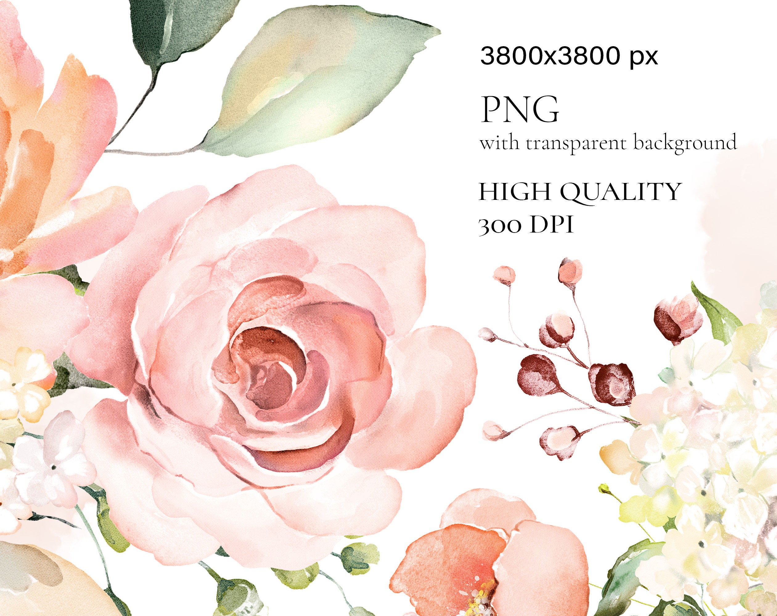 Watercolor Pink Roses, Bouquets PNG Clipart, Wedding, Digital Flowers ...