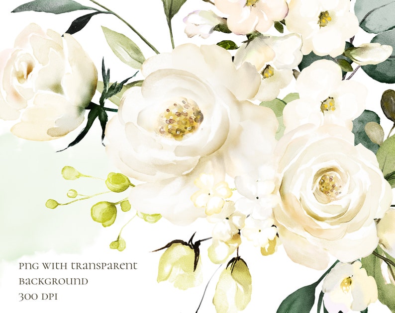 Watercolor Flower White Cream Roses Floral Garden Bouquets PNG Clipart ...