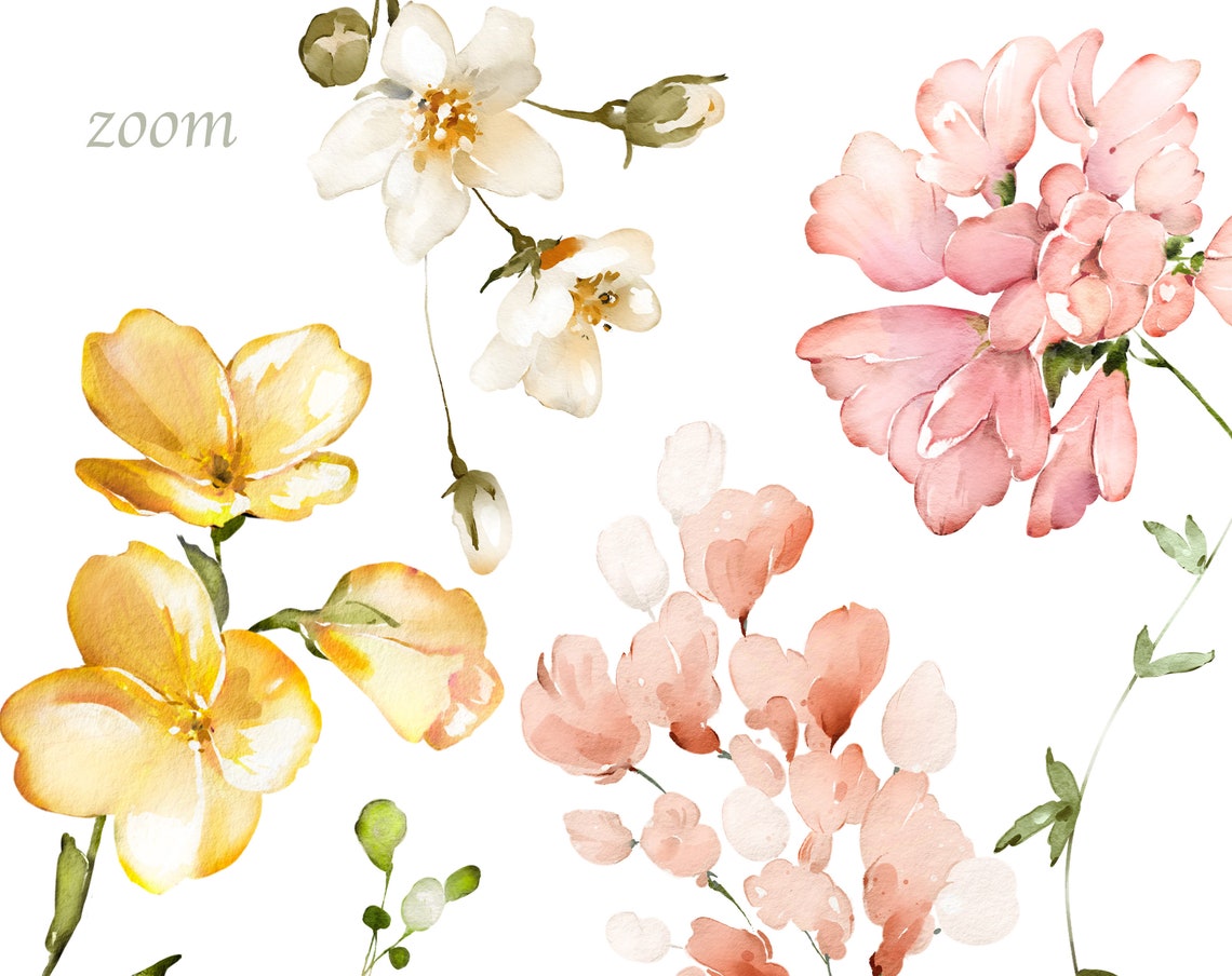 Watercolor Flower White Cream Roses Floral Garden Wild Set PNG Clipart ...