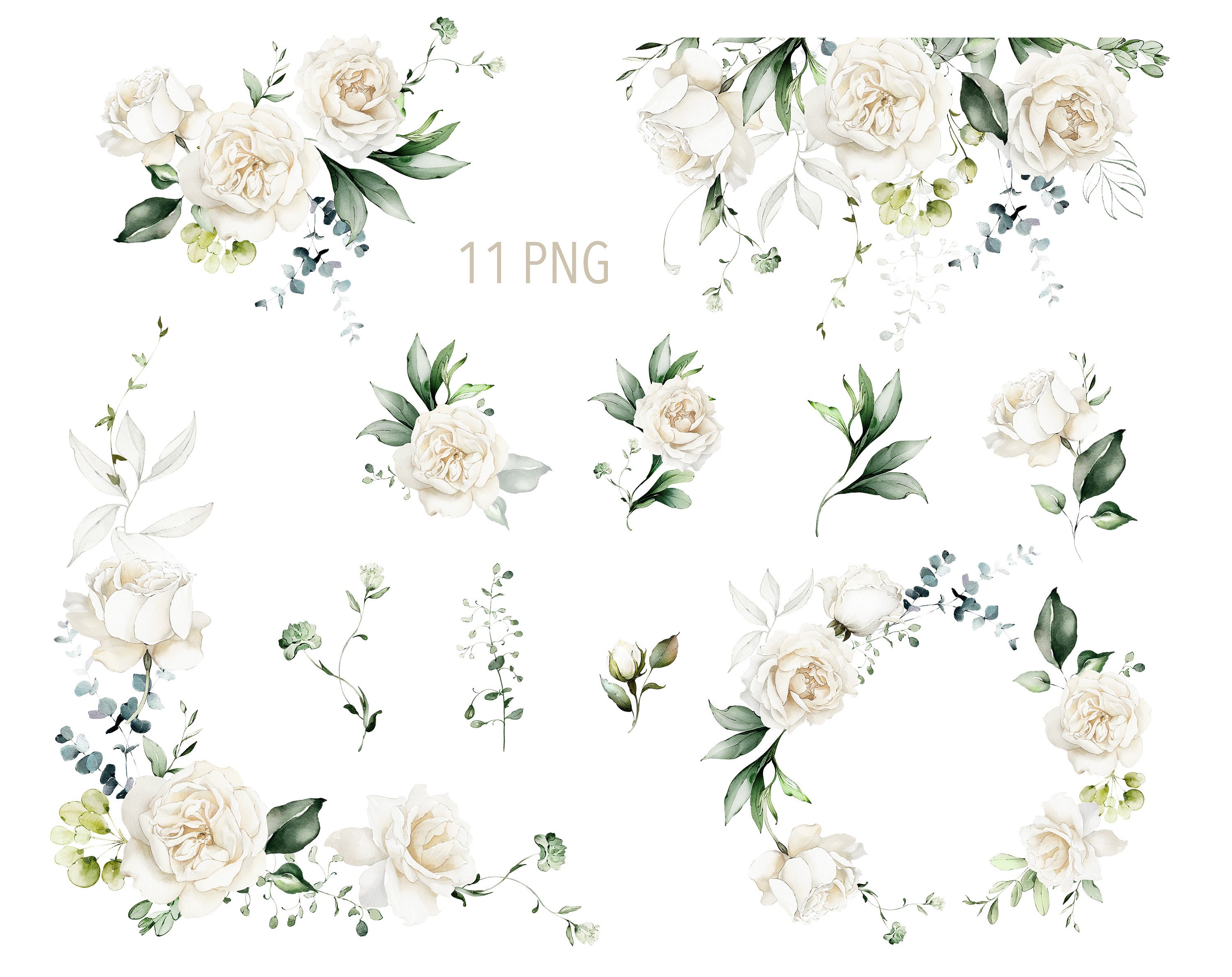 Watercolor Flower White Cream Roses Floral Garden Bouquets PNG Clipart ...