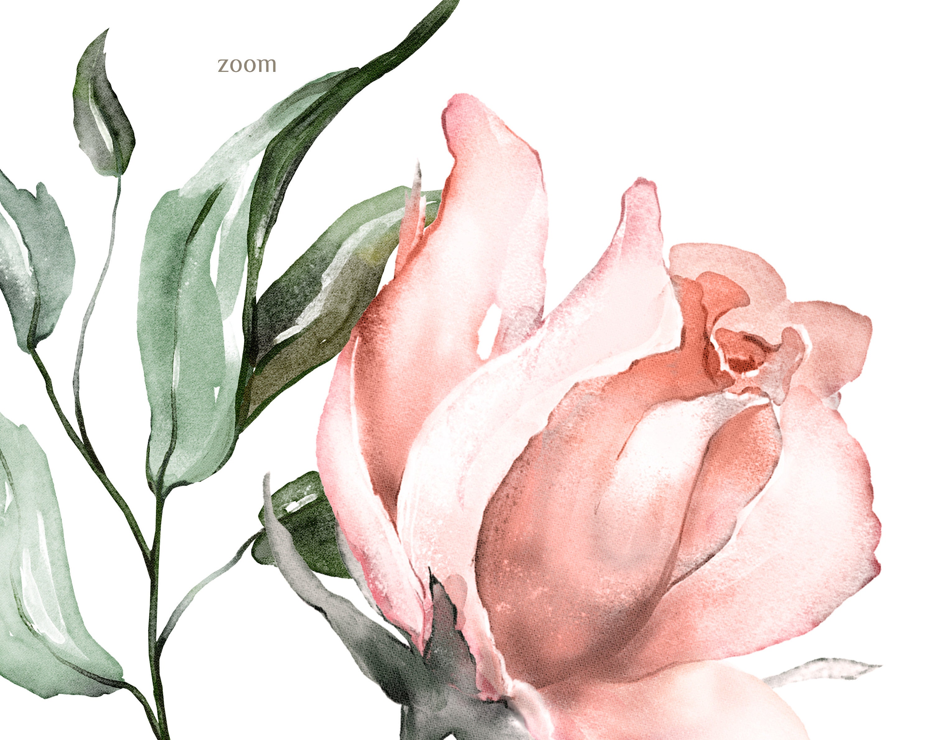 Watercolor Flower Pink Roses Floral Garden Bouquets PNG Clipart ...