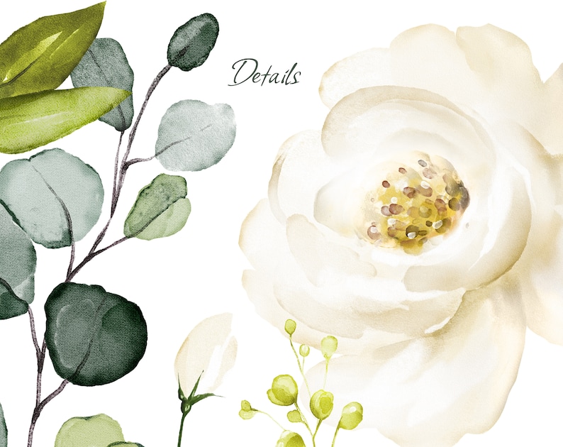 Watercolor Flower White Roses Floral Garden PNG Clipart, Wedding ...