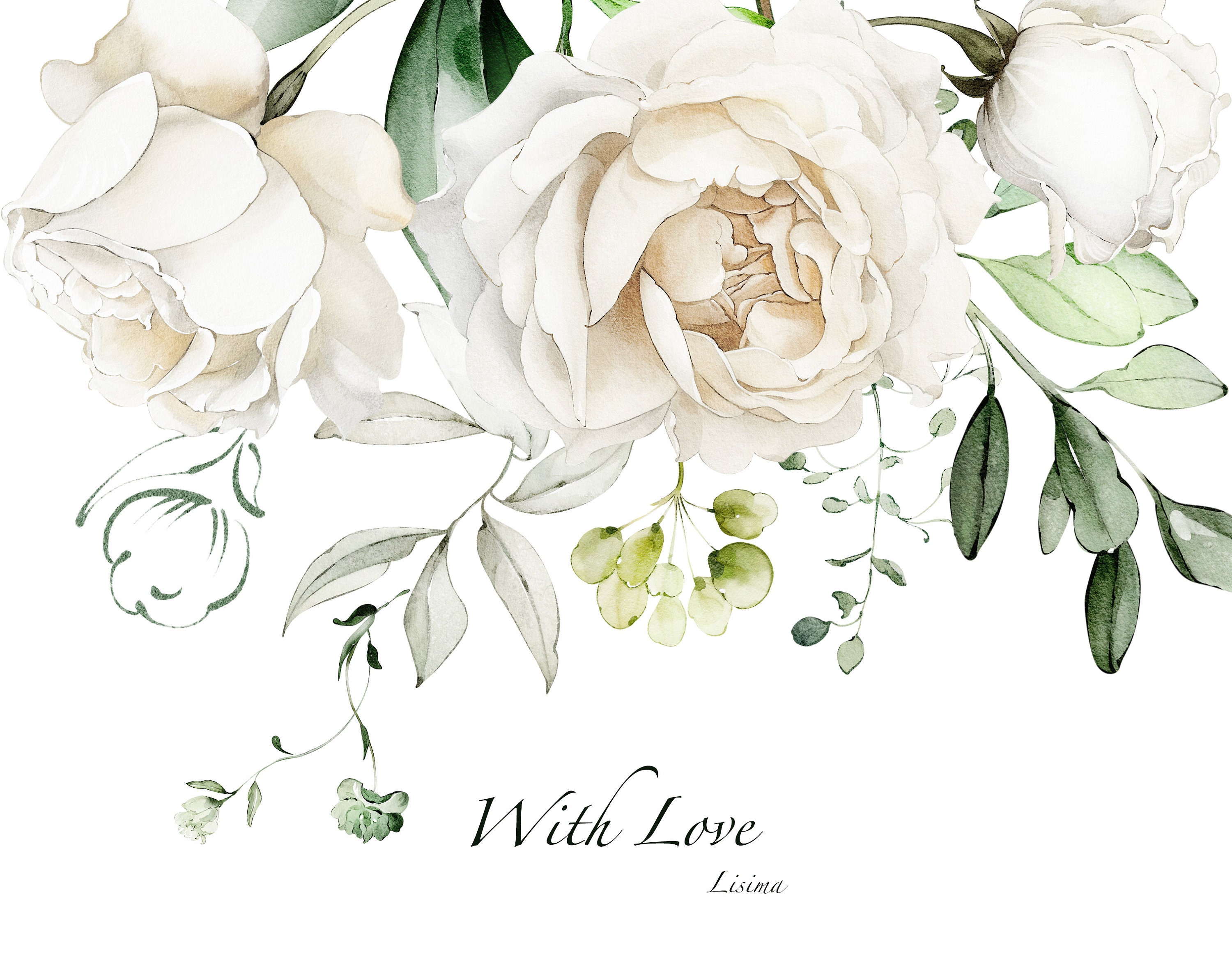 Watercolor Flower White Roses Floral Garden Elements PNG Clipart ...