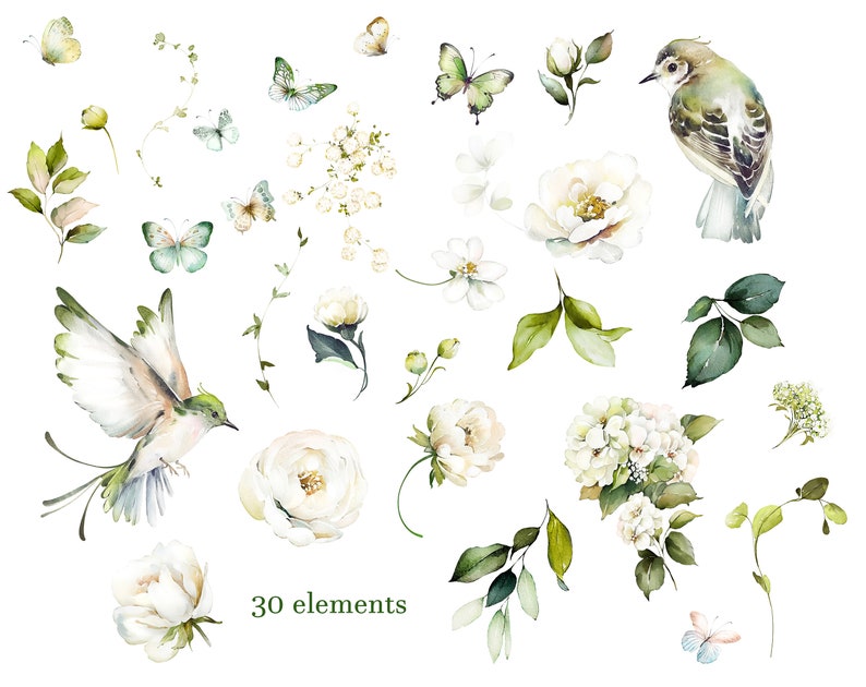 Watercolor Flower White Cream Roses Floral Garden Bouquets PNG Clipart ...