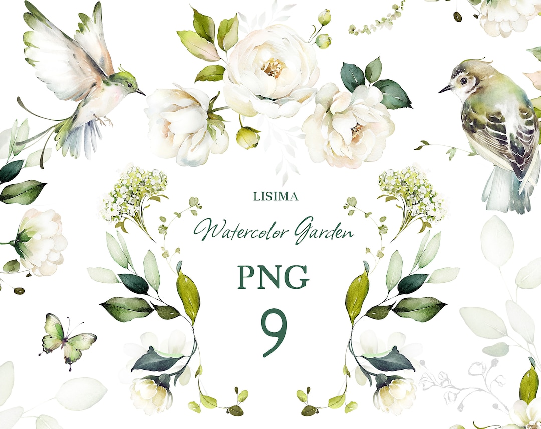 Watercolor Flower White Cream Roses Floral Garden Bouquets, Frames PNG ...