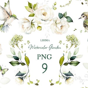 Aquarel bloem wit crème rozen bloementuin boeketten, frames PNG clipart, bruiloft digitale groene krans, kruiden groen vogel, Lisima