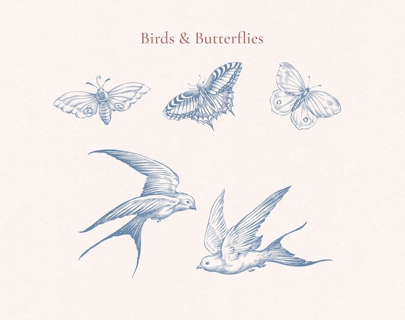 May include: A digital illustration of four birds and butterflies. The image features two blue birds in flight, a butterfly with black and white wings, and a butterfly with brown and white wings. The image is titled "Birds & Butterflies".