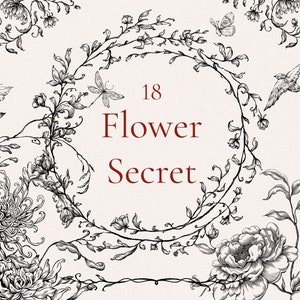 Buquês de casamento secretos de flores PNG Eps Svg, Flores vetoriais, Molduras de linhas finas, Peônias desenhadas à mão, Clipart botânico, Clip art vintage