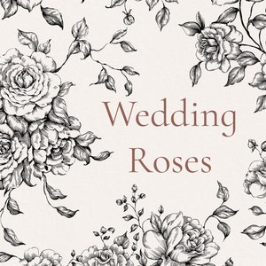 Hochzeit Rosen Eps Png svg Rosensträuße, Florale Designs, Linie Kunstblumen, grafische Blumen, Garten png, Vektorstrauß, botanische ClipArt