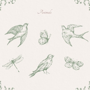 May include: A vintage illustration of various animals, including birds, butterflies, and a dragonfly. The image is drawn in a green ink on a white background and features the word "Animals" at the top.