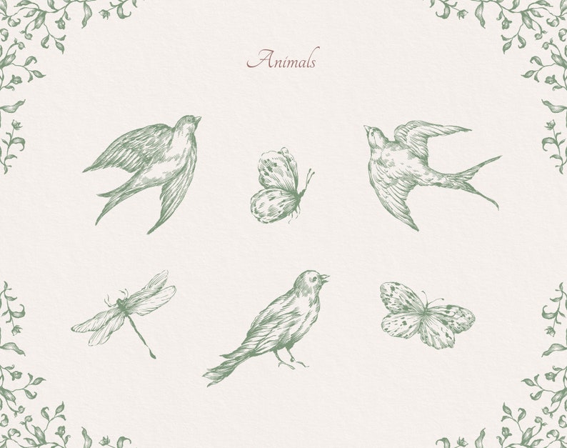 May include: A vintage illustration of various animals, including birds, butterflies, and a dragonfly. The image is drawn in a green ink on a white background and features the word "Animals" at the top.