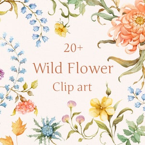 Flores Silvestres 20+, Flores em Aquarela PNG, Clipart Botânico, Prado, Flores Elegantes, Molduras Florais, Folhas, Clip Art Desenhado à Mão, Casamento