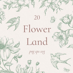 Flor Terra Vitoriana Clipart Png Eps Svg Buquês de Casamento, Natal Botânico, Molduras de Tinta Digital, Verde Sálvia, Clip Arts Vintage, Pássaros