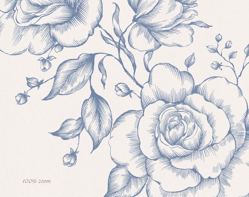 May include: A blue and white floral illustration with a detailed drawing of roses and leaves. The image is a close-up of the flowers and leaves.