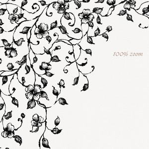 Pu&ograve; includere: Illustrazione floreale nera con delicate viti, foglie e fiori su sfondo bianco. L'immagine presenta il testo "100% zoom" in marrone, indicando una vista ravvicinata del design. Quest'opera botanica &egrave; adatta a varie applicazioni.