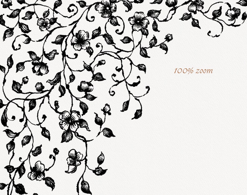 Pu&ograve; includere: Illustrazione floreale nera con delicate viti, foglie e fiori su sfondo bianco. L'immagine presenta il testo "100% zoom" in marrone, indicando una vista ravvicinata del design. Quest'opera botanica &egrave; adatta a varie applicazioni.