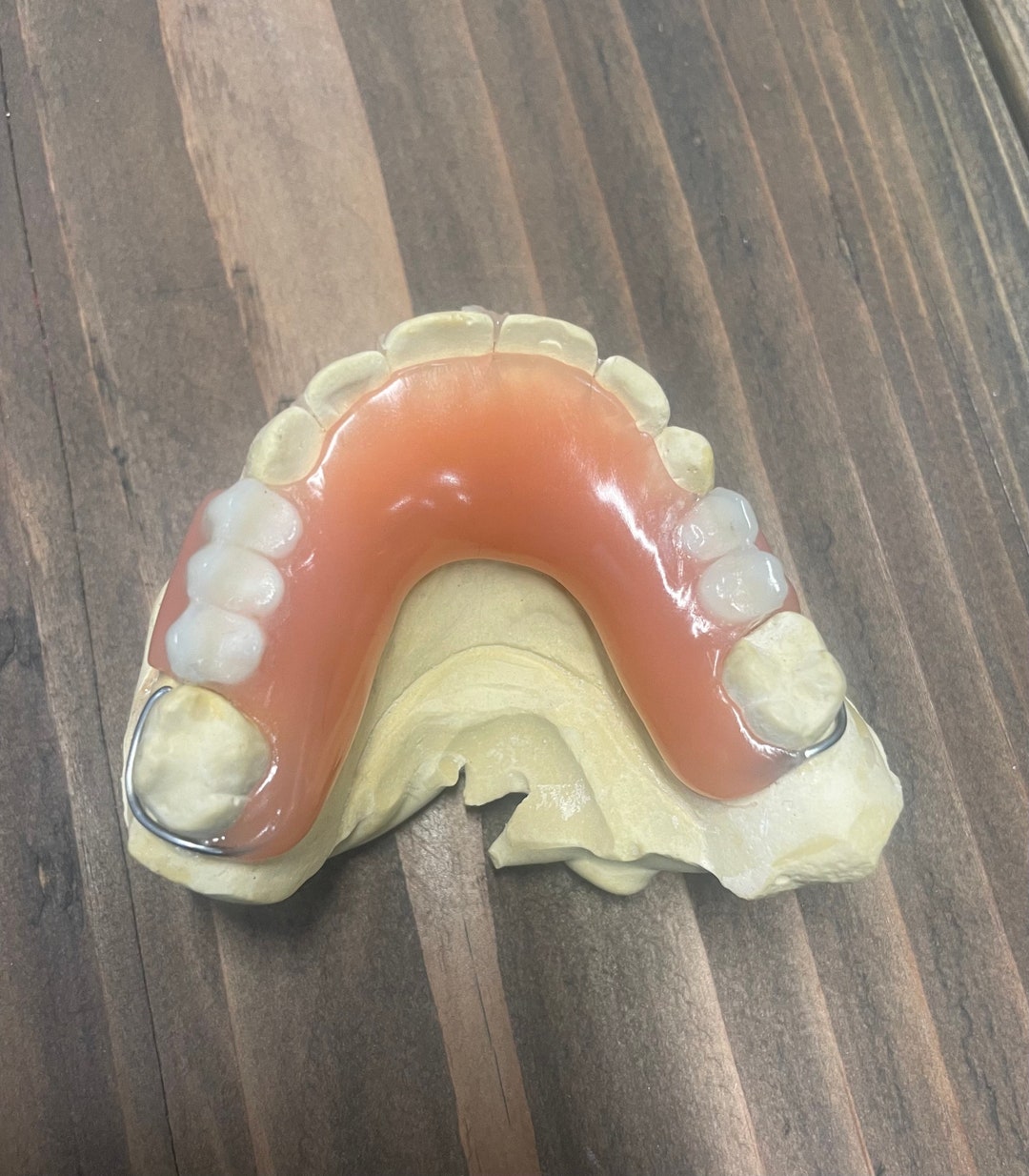 Flipper Denture Appliance Etsy