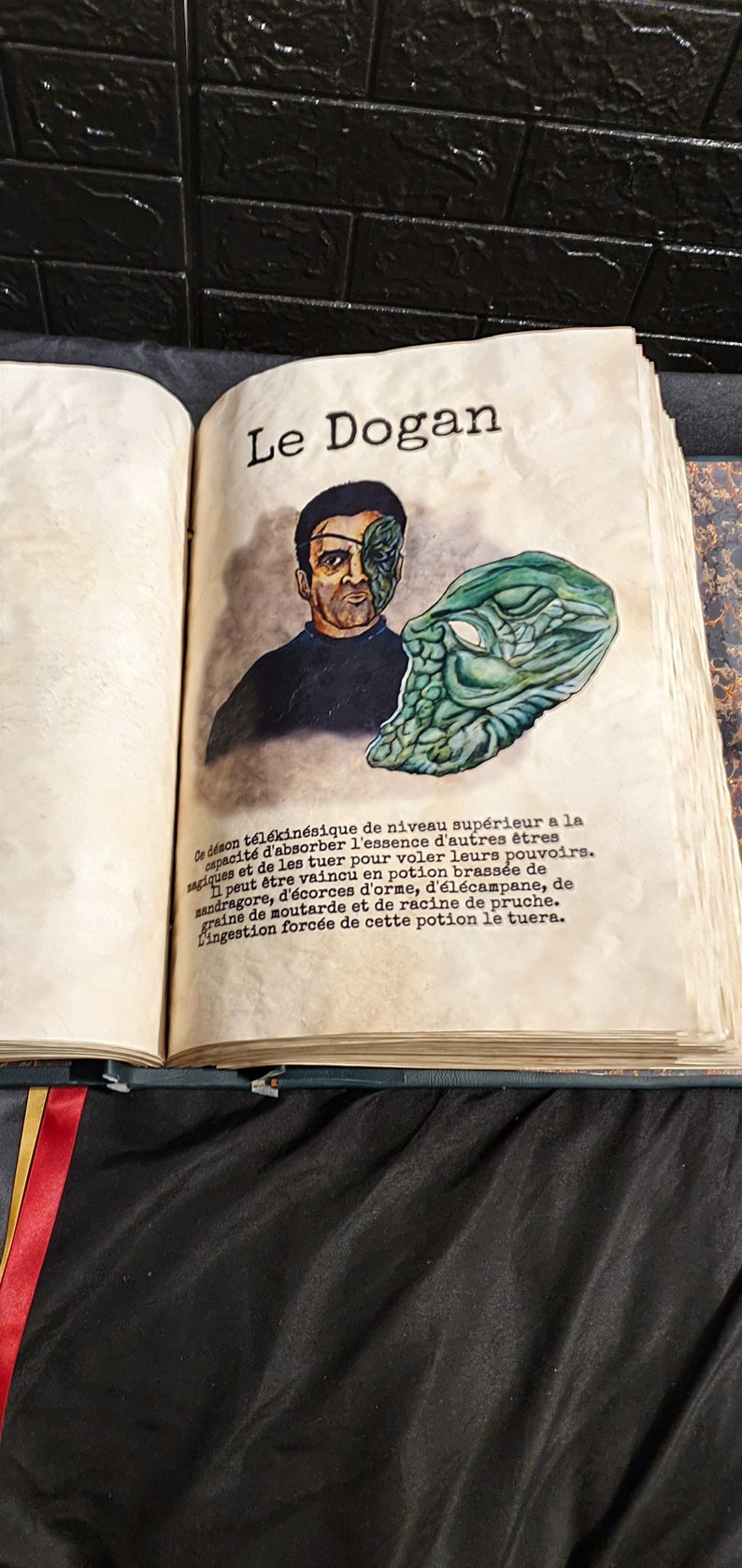 Livre Des Ombres Charmed Français Etsy Canada