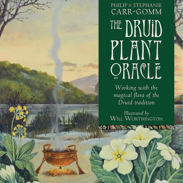 Druid Plant Oracle: 36 Cards and 144 Page Guidebook, Druids, Oracle Cards, Tarot, Celtic Witch, Pagan, Divination, Green Witch, Celtic