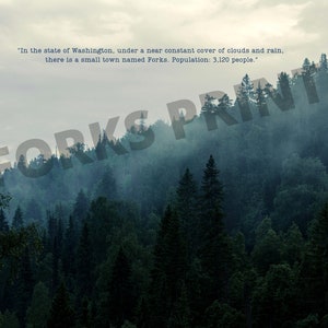 Twilight Forks Digital Print Gift for Twilight Lovers Picture Frame Cuadro Crepusculo Twilight Forks Movie Quote Twilight Gift New Moon Vibe image 3