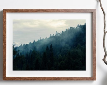 Forks Washington State Digital Print