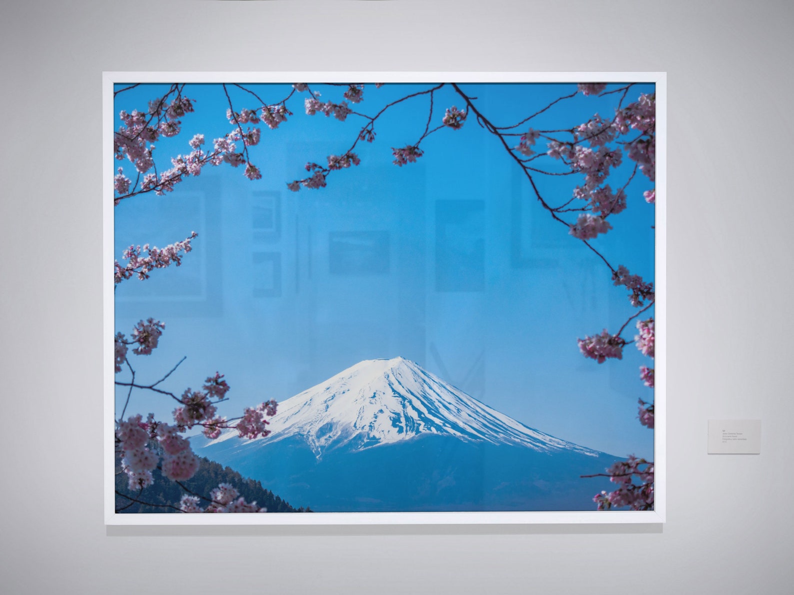 Mount Fuji, Mt Fuji Print, Horizontal Wall Art, Landscape Photography ...