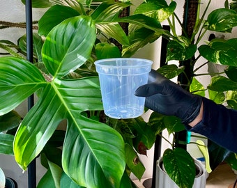 Plastic Transparent Plant Pot, Set of 5, 4", FREE SHIPPING